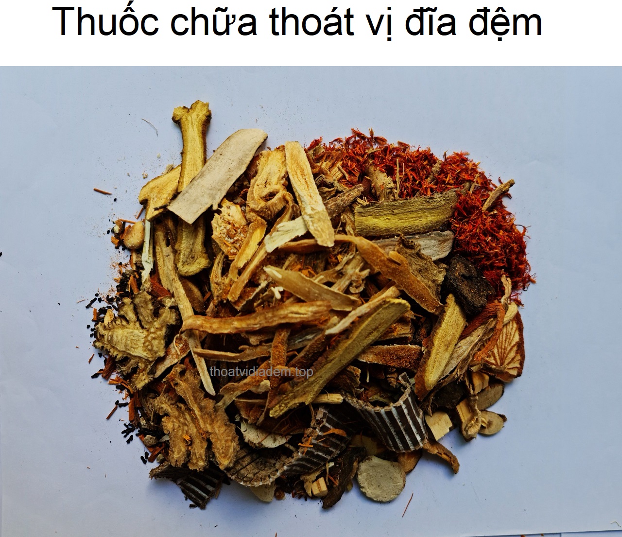 Thuốc chữa thoát vị đĩa đệm 